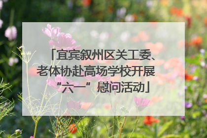 宜宾叙州区关工委、老体协赴高场学校开展“六一”慰问活动